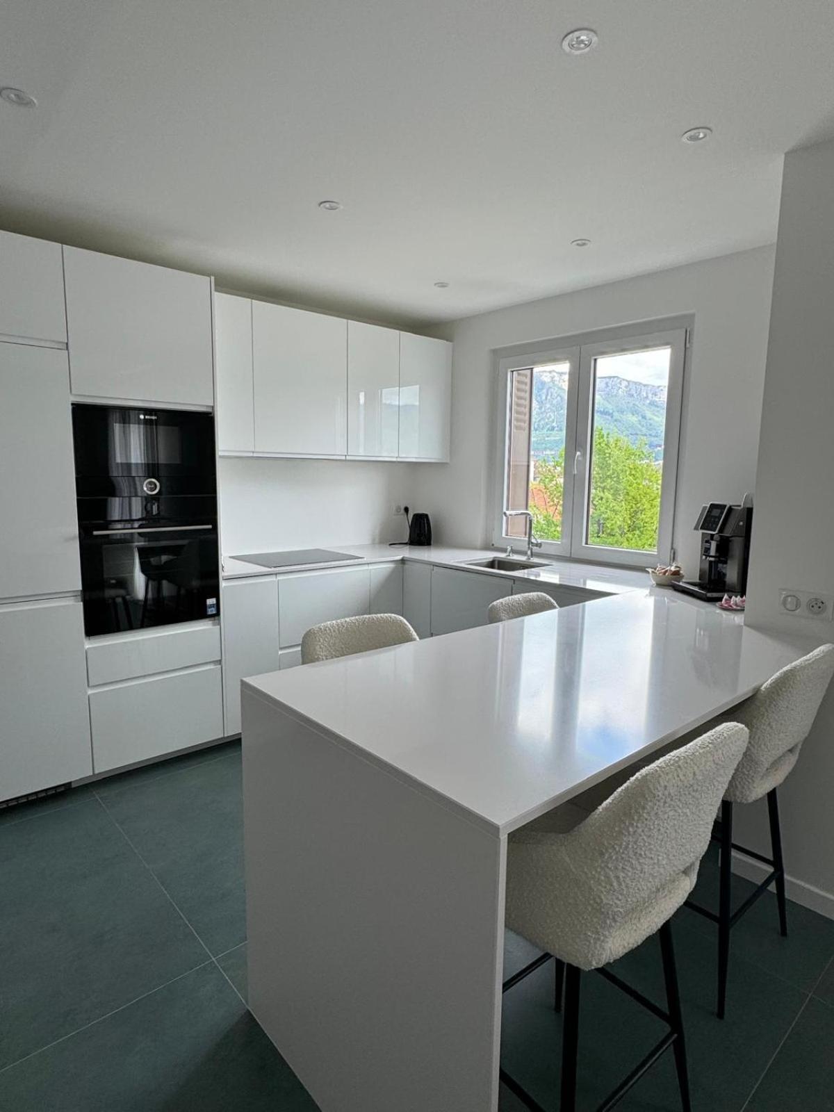Modern Green & White - Apartments T3 60M2 Annecy - Parking Prive - Wifi - Netflix Exteriör bild